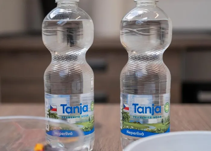 Radvanička Apartamento *